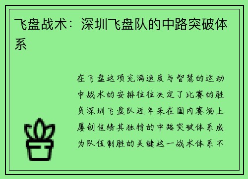 飞盘战术：深圳飞盘队的中路突破体系